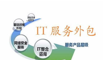 企业it外包服务 上海it外包 上海服务器安装及维